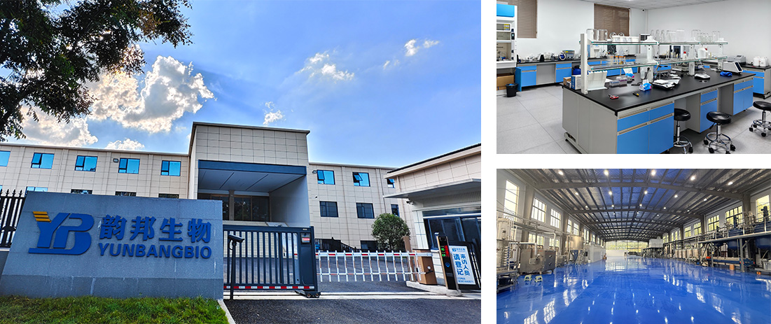 实验室常用生物染色剂及其染色原理